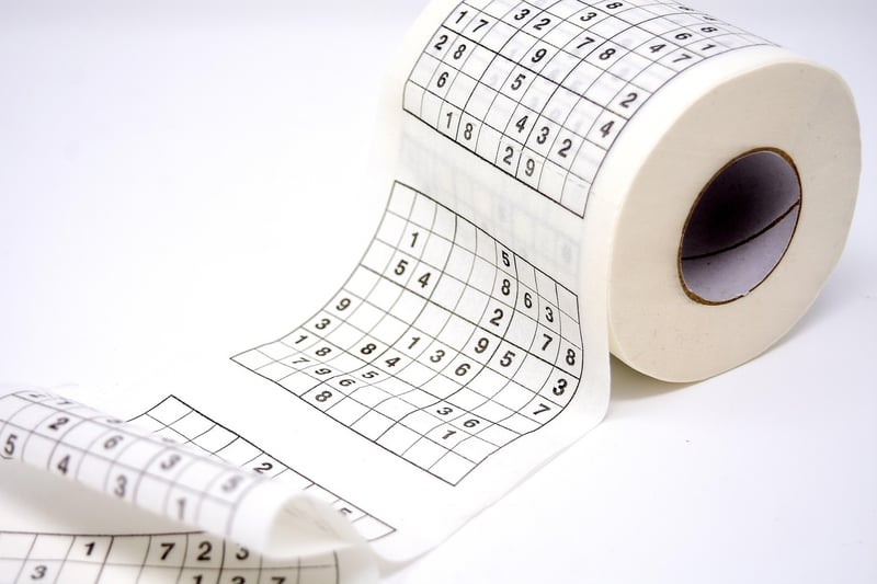 Toilet paper roll binoculars craft